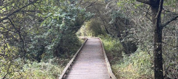 Terreno en Sarzeau, France No. 94837 3