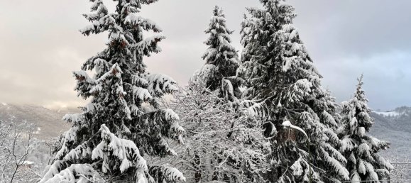 1 bedroom Apartment in Roburent, Italy No. 177853 21