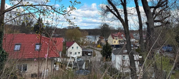 Terrain à Potsdam-Mittelmark, Germany No. 239681 9