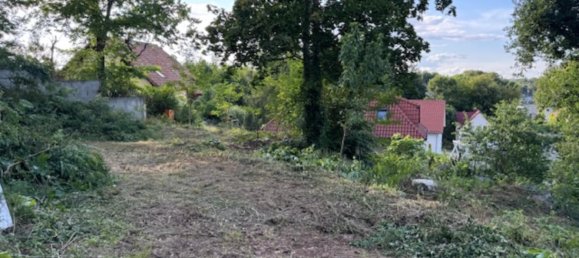 Terrain à Potsdam-Mittelmark, Germany No. 239681 8