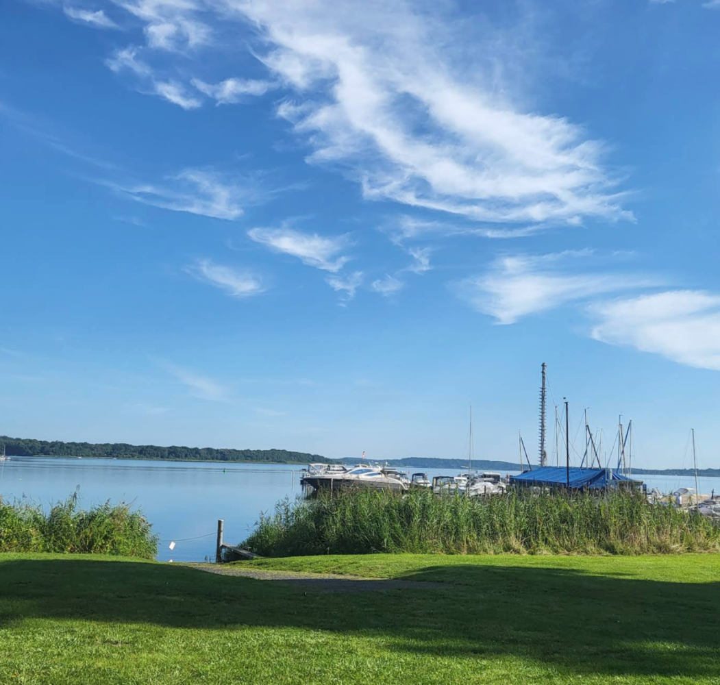 Terrain à Potsdam-Mittelmark, Germany No. 239681