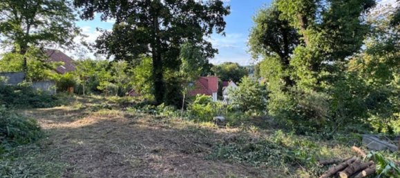 Terrain à Potsdam-Mittelmark, Germany No. 239681 7