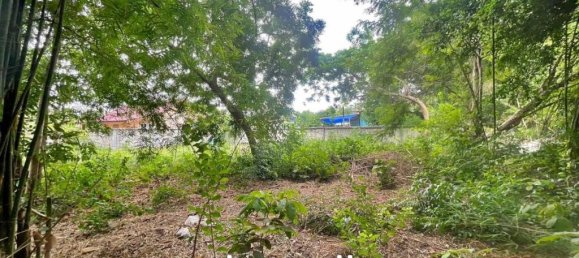 1726m² Commercial property in Pattaya, Thailand No. 15310 7