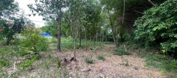 1726m² Commercial property in Pattaya, Thailand No. 15310 9