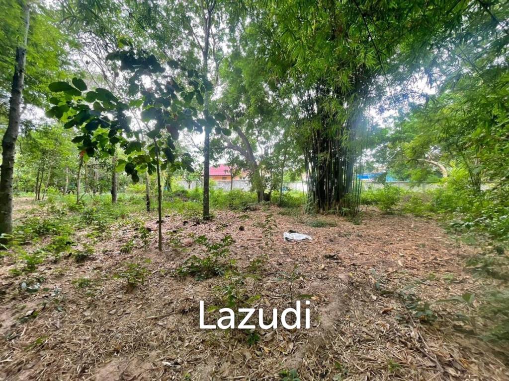 1726m² Commercial property in Pattaya, Thailand No. 15310