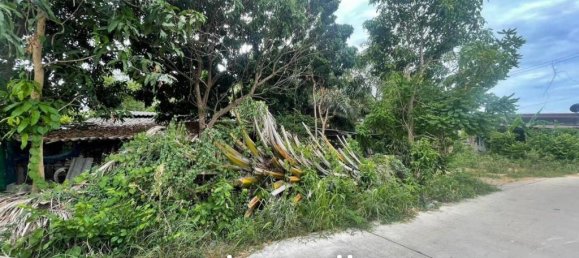 1726m² Commercial property in Pattaya, Thailand No. 15310 3