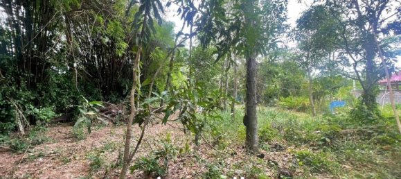 1726m² Commercial property in Pattaya, Thailand No. 15310 6