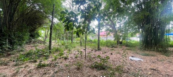 1726m² Commercial property in Pattaya, Thailand No. 15310 8