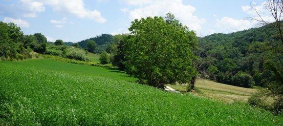 4 rooms House in Torricella in Sabina, Italy No. 175103 16