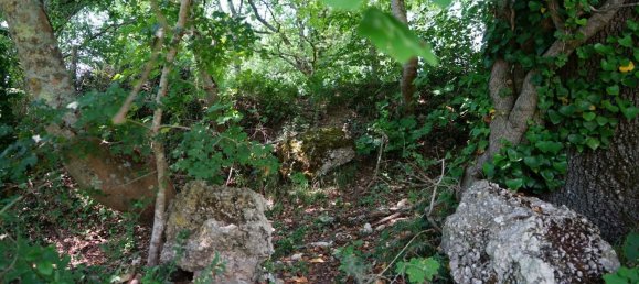 4 rooms House in Torricella in Sabina, Italy No. 175103 29