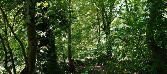 4 rooms House in Torricella in Sabina, Italy No. 175103 17