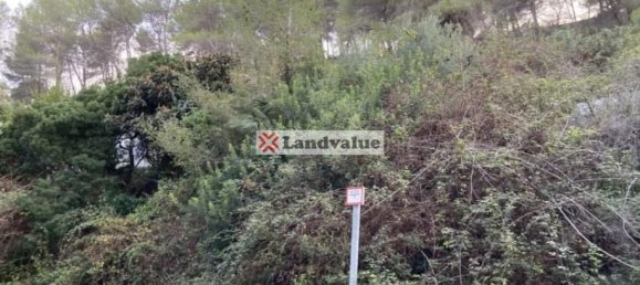 890m² Land in Sant Pere de Ribes, Spain No. 81564 5