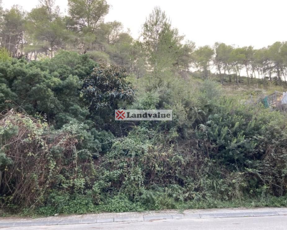 890m² Land in Sant Pere de Ribes, Spain No. 81564