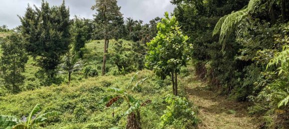 25657m² Hotel in Pont Casse, Dominica No. 30 25