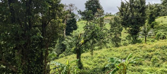 25657m² Hotel in Pont Casse, Dominica No. 30 15