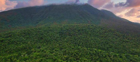 25657m² Hotel in Pont Casse, Dominica No. 30 5