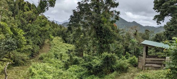 25657m² Hotel in Pont Casse, Dominica No. 30 16