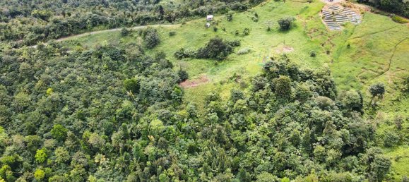 25657m² Hotel in Pont Casse, Dominica No. 30 11