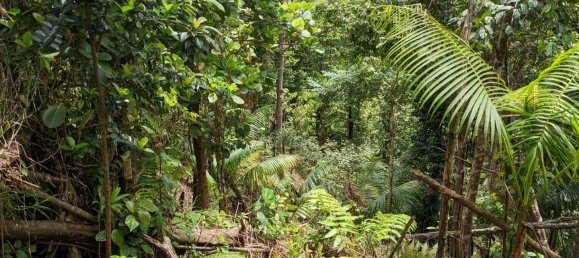 25657m² Hotel in Pont Casse, Dominica No. 30 24