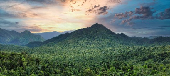 25657m² Hotel in Pont Casse, Dominica No. 30 4