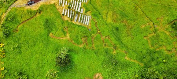 25657m² Hotel in Pont Casse, Dominica No. 30 2