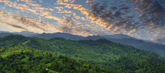 25657m² Hotel in Pont Casse, Dominica No. 30 7