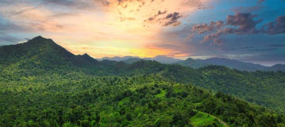 25657m² Hotel in Pont Casse, Dominica No. 30 8