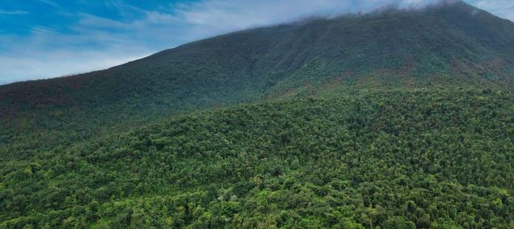 25657m² Hotel in Pont Casse, Dominica No. 30 9