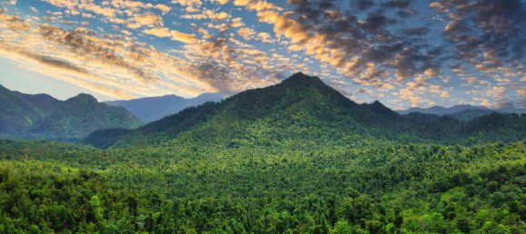 25657m² Hotel in Pont Casse, Dominica No. 30 3