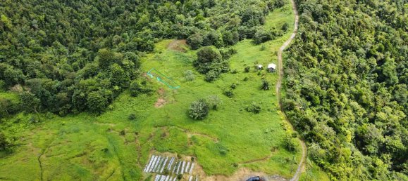 25657m² Hotel in Pont Casse, Dominica No. 30 13