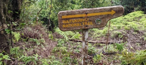 25657m² Hotel in Pont Casse, Dominica No. 30 17