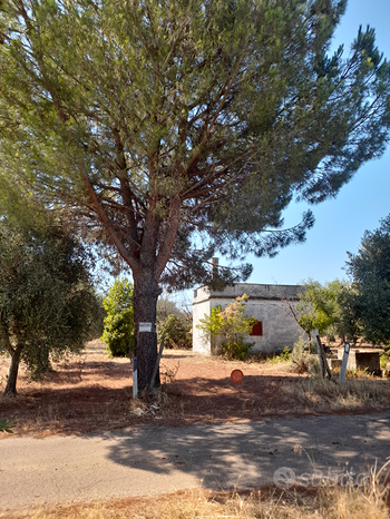 Terreno en Ginosa, Italy 4300 m² No. 281781