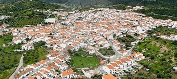 Дом с 3 спальнями в Барранкуш, Португалия № 40208 43