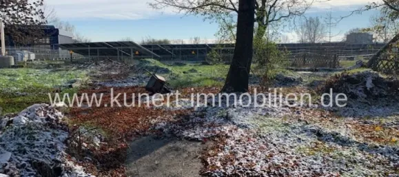 18 bedrooms Commercial property in Saalekreis, Germany No. 24989 11