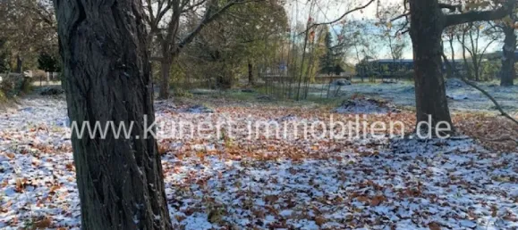 18 bedrooms Commercial property in Saalekreis, Germany No. 24989 9
