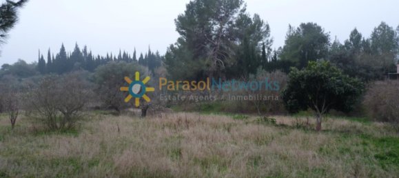 Дом с 1 спальней в Барксета, Испания № 26599 20