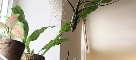 2 rooms Apartment in Milan, Italy No. 291522 14