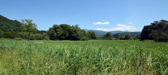Grundstück in Koblach, Austria, Nr. 250953 10