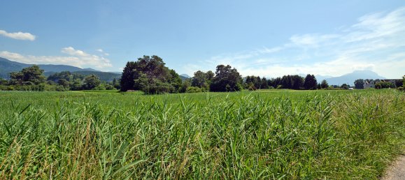 Grundstück in Koblach, Austria, Nr. 250953 11
