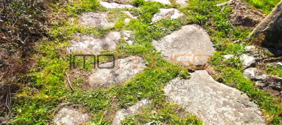 3 bedrooms House in Cinfaes, Portugal No. 160638 10