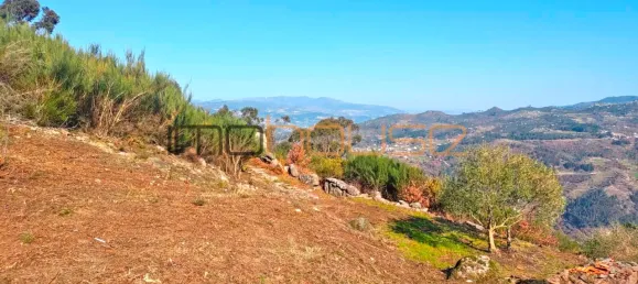 3 bedrooms House in Cinfaes, Portugal No. 160638 13