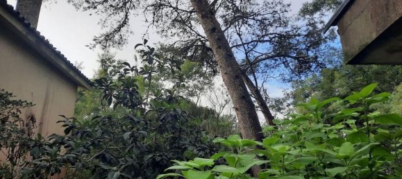 6 bedrooms House in Cascais, Portugal No. 131890 3