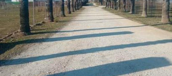 1000m² Land in Andalusia, Spain No. 136001 5