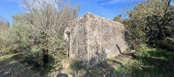Studio in Ostuni, Italy, Nr. 21723 2