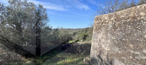 Studio in Ostuni, Italy, Nr. 21723 3