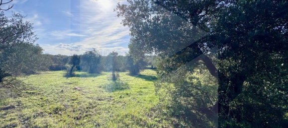 Studio in Ostuni, Italy, Nr. 21723 5