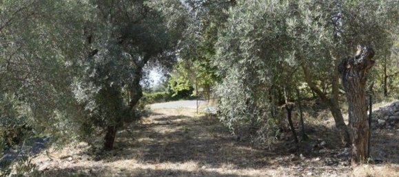 7غرفة منزل في Formia, Italy رقم 167378 39