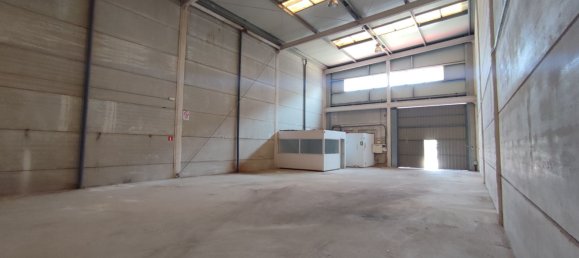 Armazém em Mallorca, Spain 245 m² N.º 167077 4
