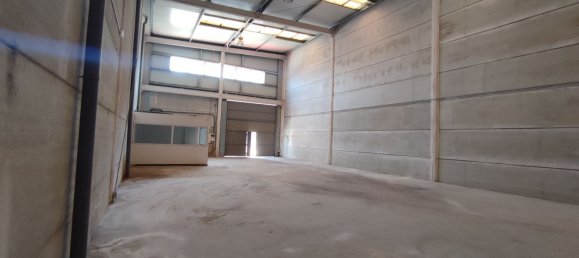 Armazém em Mallorca, Spain 245 m² N.º 167077 5