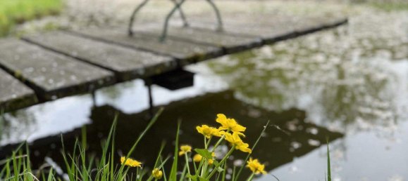 Terrain à Persenbeug-Gottsdorf, Austria No. 112530 2